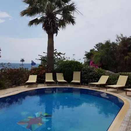 Synosse Hotel Turgutreis